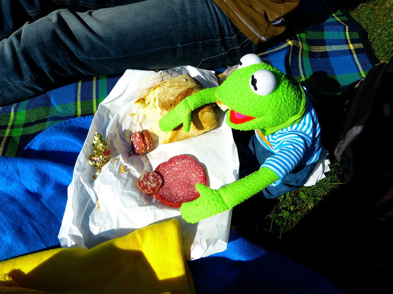 kermit-383339_1280
