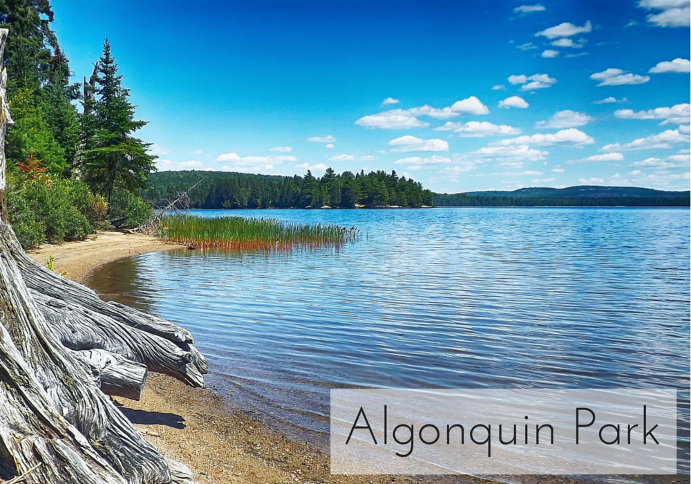 Algonquin Park via Canadian Mom Blog