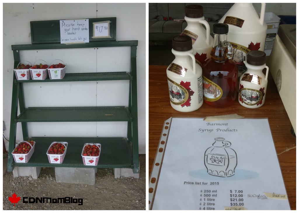 Ruby Berry Farm Items for Sale