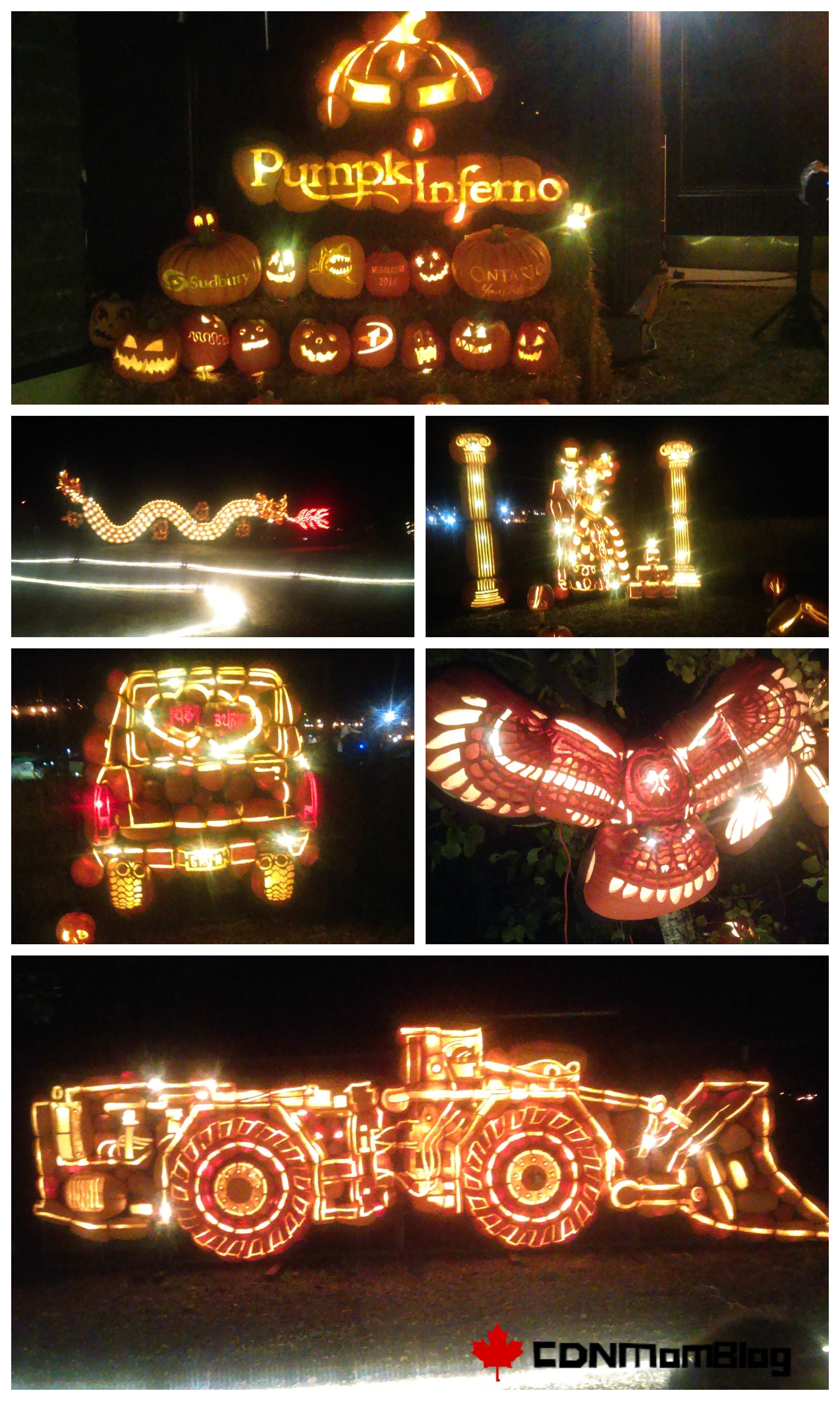 Pumpkin Display