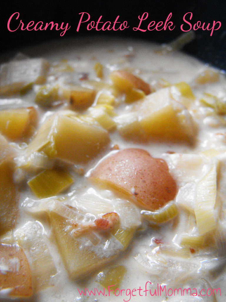 Creamy Leek Potato Soup