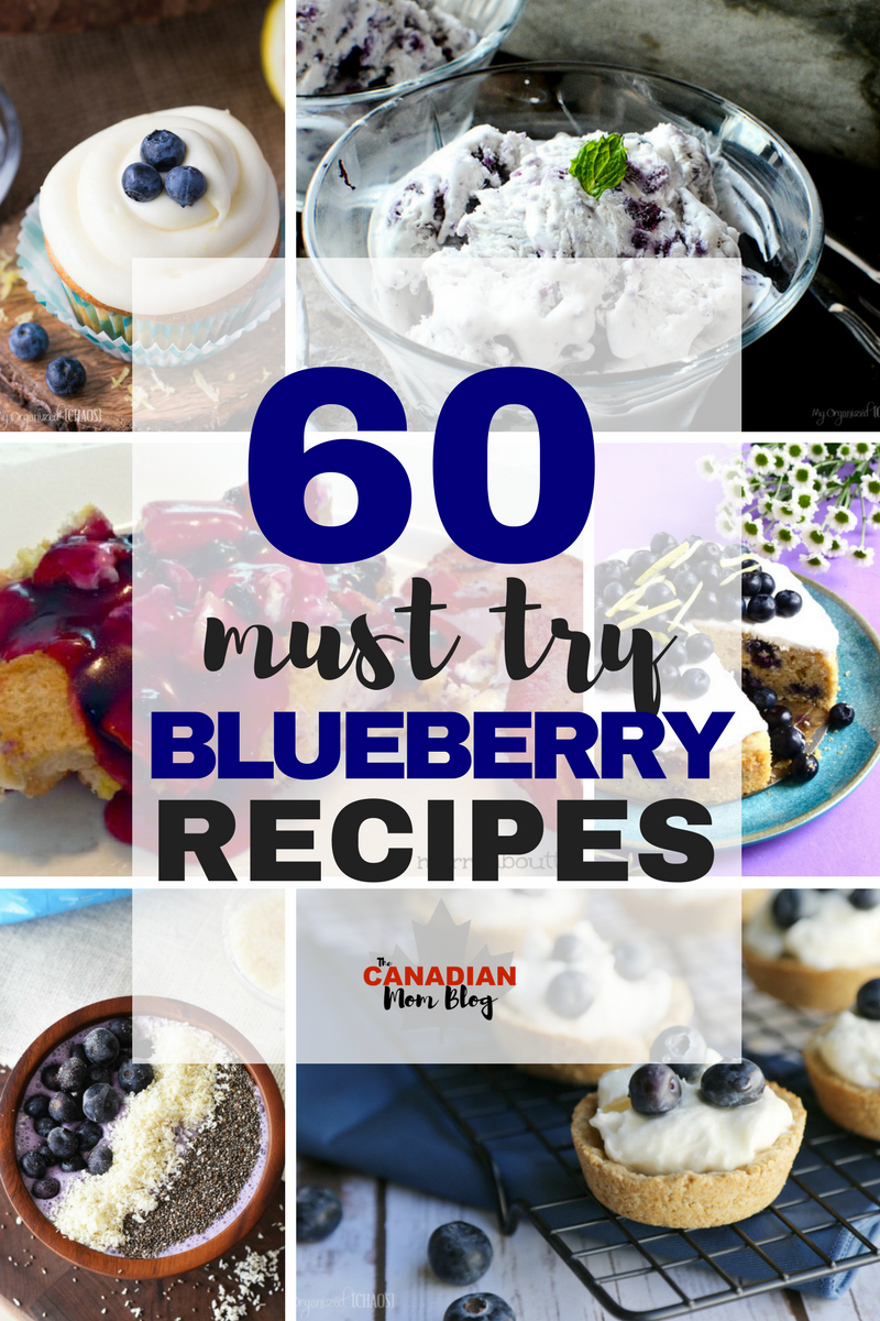 60 Must Try Blueberry Recipes